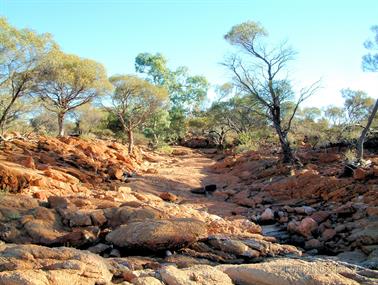 Dry creek south of Agnew, Western Australia